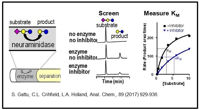 Neuraminidase substrate screening, shows separation of enzyme and graphs time vs substrate/product with and without enzyme and inhibitor present. Michaelis-Menten curve for neuraminidase included, with a greater KM and lower rate with the inhibitor.